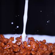 Picture Of Choco Cereals Muesli With Milk